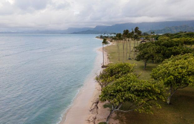 Integrated Coastal Zone Management Committee appointed